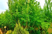 ویلا دو خواب استخردار در مشهد