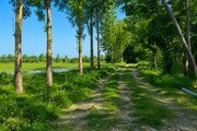 کلبه سوئیسی دوبلکس دوخواب لاکچری شالیزار در پره سر
