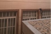 آپارتمان دو خواب ثمین در کاشان