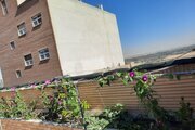 سوئیت مبله عمو عزیز در اصفهان