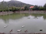 کلبه سوئیسی دوبلکس 3 خواب در ماسال