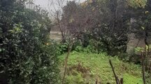 واحد در طبقه دوم ویلای اربکله در رامسر