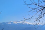 خانه جنگلی هلی تی تی در لفور