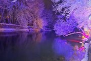باغ ویلا تکخواب در باغ بهادران