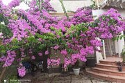 واحد طبقه اول در قائم شهر