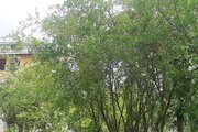 واحد مبله دو خواب پارسا در اقامتگاه بومگردی  ماسال