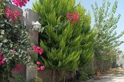 ویلا مبله تکخواب گل های بهشتی در خشکبیجار