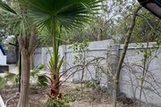 کلبه سوئیسی جکوزی دار بهشت پدری (1)
