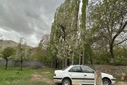 ویلا دوبلکس مبله تکخواب گل چشمه در فشم