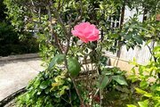 خانه ویلایی دو خواب مبله در متل قو