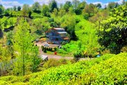 آپارتمان مبله دوخواب  نیروشم 1 در لاهیجان