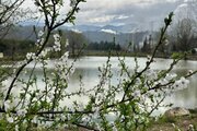 کلبه تک خواب مهتاب 4 در اقامتگاه نوشهر