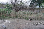 واحد 30 متری در طبقه همکف ویلای لاهیجان
