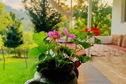 ویلا مبله دوخواب جنگلی در فومن