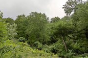 واحد در طبقه دوم در سوادکوه(جوارم)