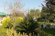 ویلا تکخواب همیشه بهار در قائم شهر