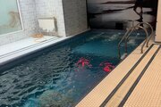 واحد دو خواب استخردار در طبقه همکف ویلا چالوس