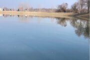 کلبه سوئیسی تکخواب میراث 1 در نور