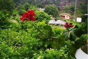 واحد در طبقه دوم کلبه ماسال