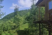 کلبه چوبی تکخواب مبله رویایی جنگلی در سوادکوه