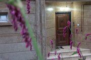 ویلا دوبلکس تکخواب تک ستاره شمال در رشت