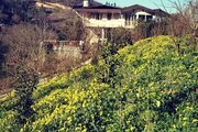 ویلای جنگلی انارستان مازندران رستمکلا