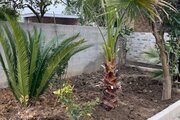 کلبه سوئیسی جکوزی دار بهشت پدری (2)