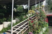 سوئیت کلبه برفی در دربندسر