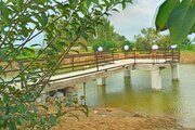 ویلا باغ دریاچه دو خواب در آمل