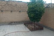ویلا مبله دوخواب ایثار در شیراز