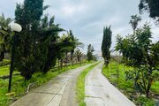 ویلا باغ تک خواب نارنج در زیبا کنار