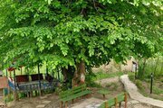 باغ ویلا تک خواب مبله در رودبار