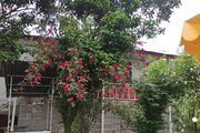 خانه باغ تکخواب در شفت