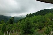 کلبه چوبی جنگلی تکخواب در ماسال