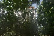 آپارتمان مبله دوخواب در محمود آباد