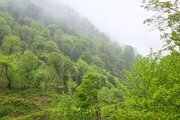 کلبه مبله تکخواب در ماسال