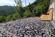 ویلا دو خواب جنگلی آبشار در تالش