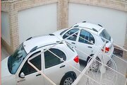 باغ ویلا تکخواب دربست با فوتبال دستی در فین  کاشان