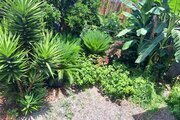 واحد دوخواب استخردار شیرود در طبقه دوم ویلای شیرود