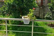واحد دوخواب در طبقه اول ویلای تالش