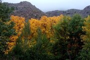ویلا دوبلکس سه خواب مبله در کلیبر
