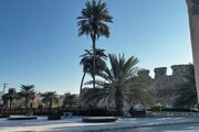 آپارتمان مبله تکخواب ساحلی 1 در قشم