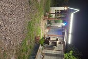 کلبه چوبی دوخواب دادرس در ماسال