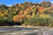 کلبه سوئیسی تک خواب مبله در اسالم