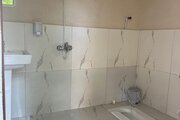 سوئیت جنگلی کاهگلی در کیاده ساری