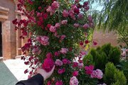 ویلا دو خواب استخردار نایب در مشهد