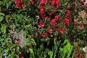 ویلا تریبلکس استخردار چهار خواب  در بندرانزلی