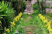 واحد دو خواب افرا در طبقه اول ویلای لیسار