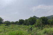 ویلا باغ مبله دو خواب در کتالم و سادات شهر