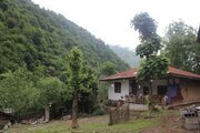 ویلا مبله جنگلی دو خواب شالماکوه در ماسال